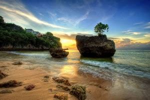 Namun, ada berbagai hal unik dan menarik seputar nasi padang yang barangkali belum diketahui banyak. Playa Padang-Padang | DiarioAbiertoDiarioAbierto