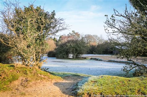 Hatchet Pond New Forest Walk A Beautiful Walk Snaps And Stories