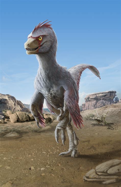 Velociraptor Mongoliensis By Fabrizio De Rossi On Deviantart