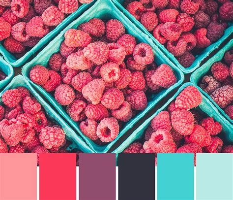 16 Fresh Color Palettes For Your Next Project Hex Codes