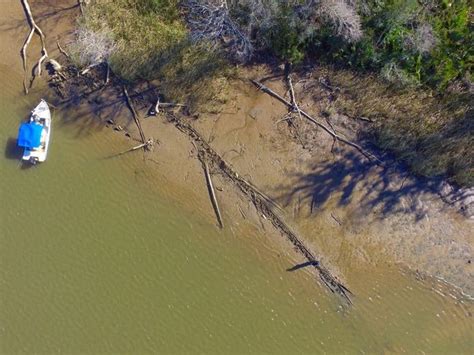 alabama reporter finds last known slave ship in us live science