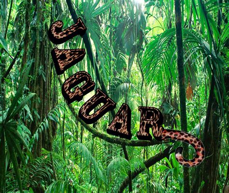 Tyler's Blog: Jaguar (Animal in Word Project)