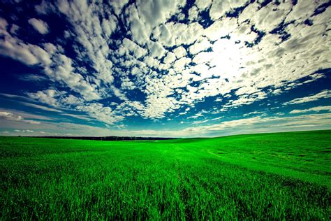 Download Landscape Grass Field Sky Nature Cloud 4k Ultra Hd Wallpaper