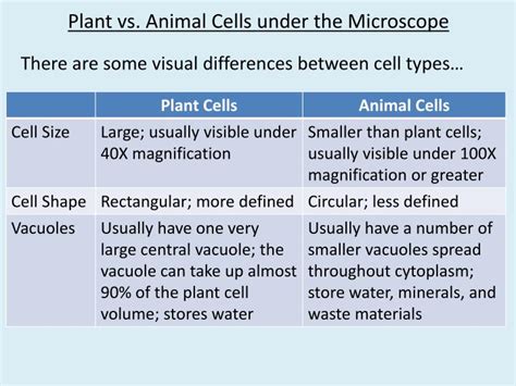 In young parts of plant and fruits, cell shapes are generally. PPT - Identifying Cells under the Microscope PowerPoint ...