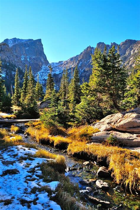 Colorful Forest In Rocky Mountain National Park In Fall
