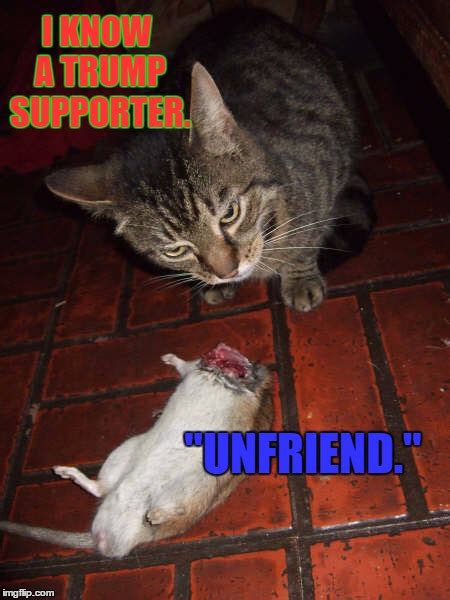 Unfriend Imgflip