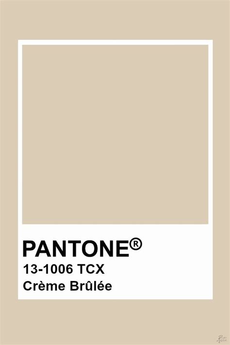 Pantone Crème Brûlée Pantone Colour Palettes Pantone Color Pantone