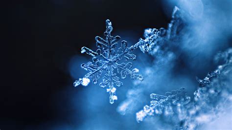 Real Snowflake Backgrounds