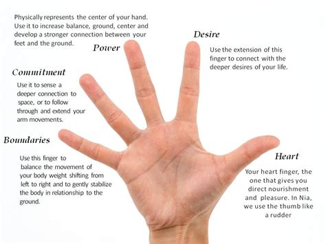 Check spelling or type a new query. Nia Technique - Fingers | Dance technique, Conscious ...
