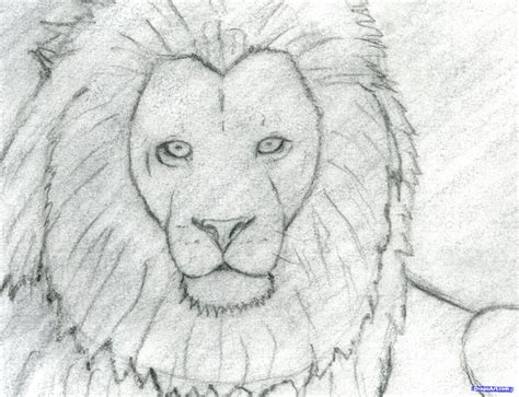 Add eyes, nose, and mouth to the lion's face. How to Sketch a Lion, Step by Step, safari animals ...