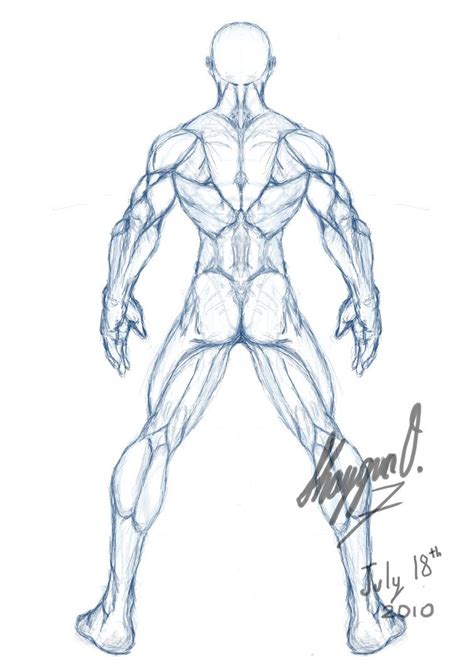 Anatomía Cuerpo Humano Masculino Drawing Male Anatomy Male Figure