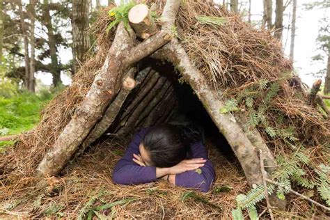 Survival Shelters How To Build A Survival Shelter Types Of Shelters