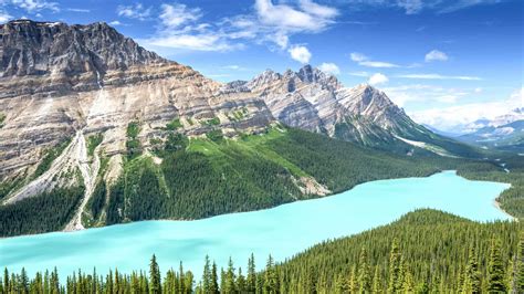 The Best Peyto Lake Nature And Panorama 2022 Free Cancellation