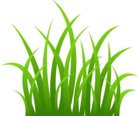 Grass Png Image Purepng Free Transparent Cc0 Png Image Library