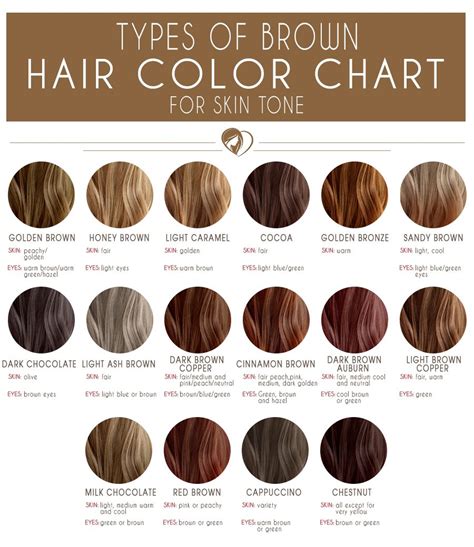24 Shades Of Brown Hair Color Chart To Suit Any Complexion Shades Of Brown Hair Color Hair