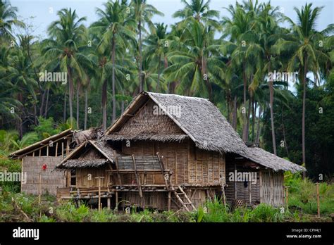 A Typical House In The Forest Negros Philippines Stock Photo Royalty