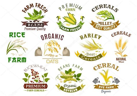 Grain and cereal product vector isolated icons — Stock Vector