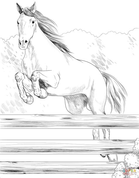 Morgan Horse Coloring Pages For Horse Fans This Is One Of A
