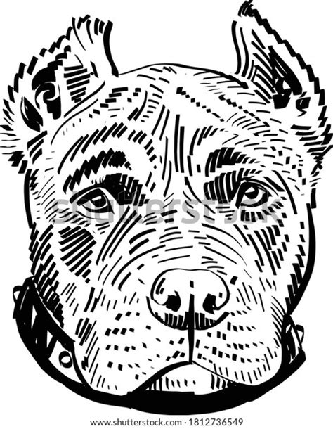 Vector Illustration Pitbull Dog Stock Vector Royalty Free 1812736549