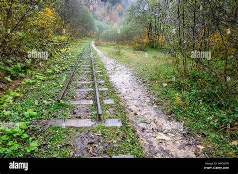 Railroad Tracks Cut Through Autumn Woods Stock Photo Alamy