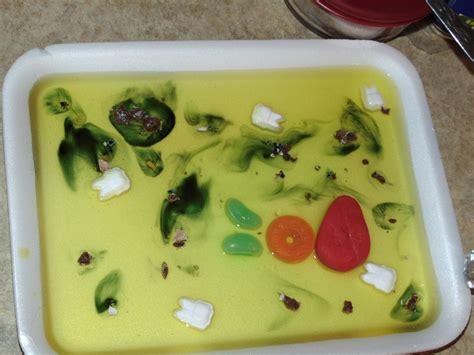 Maybe you would like to learn more about one of these? Plant and Animal Cells - edible experiment - A Net In Time ...