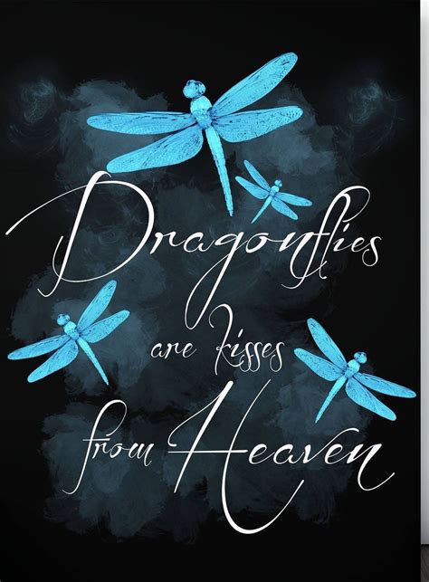 Pin By Patricia Hamm On Butterflies With Images Dragonfly Quotes