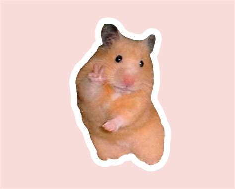Funny Hamster Vinyl Sticker Hamster Meme Sticker Cute Etsy