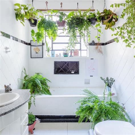 Heres Why You Need A Shower Plant In Your Bathroom Hello