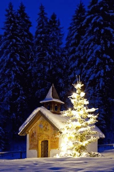 Beautiful Christmas Greetings  Christmas S ⋆ Cards Pictures ᐉ