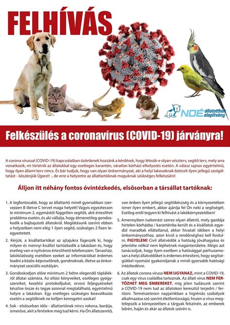 Anglia újra bezár négy hétre. Tudnivalók a koronavírus-járvány kapcsán - Budakalász