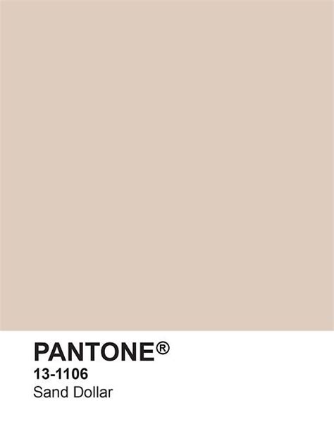 Pantone Sand Dollar Pantone Palette Beige Color Palette Pantone
