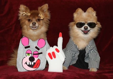 Woof Announcing The Winners Of Our Dog Costume Contest Brit Co