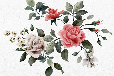 Vintage Red And White Rose Wallpaper Mural Hovia Uk Rose Wallpaper