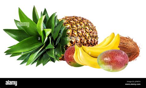Comparando Bananas Fotografías E Imágenes De Alta Resolución Alamy