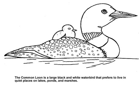 Fun & Games | Coloring pages, Animal coloring pages, Coloring books