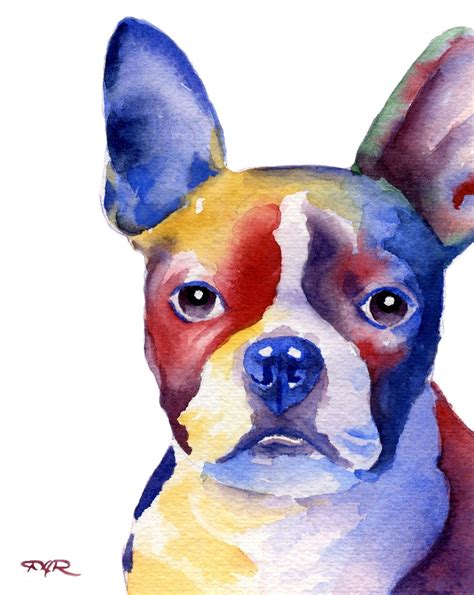 Boston Terrier Art Print By Watercolor Artist Dj Rogers Etsy Boston