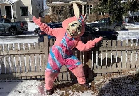Multiple Easter Bunny Sightings In Calgary Community Of Renfrew