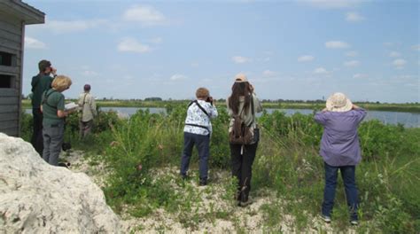 Oak Hammock Marsh Bird Walk Manitoba Important Bird Areas Program