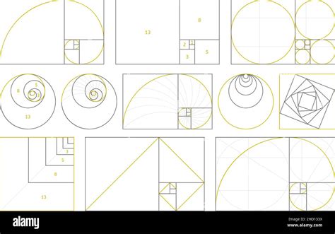 Golden Section Fibonacci Numbers Ideal Proportions Ratio Geometry