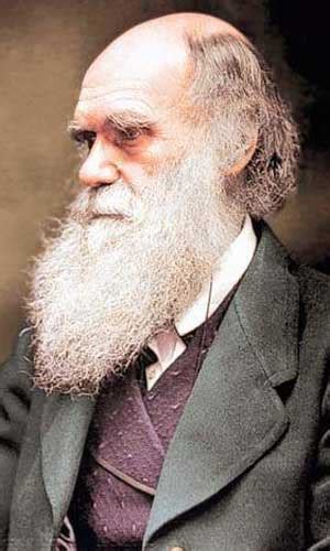 Bbc Will And Testament Was Charles Darwin A Racist