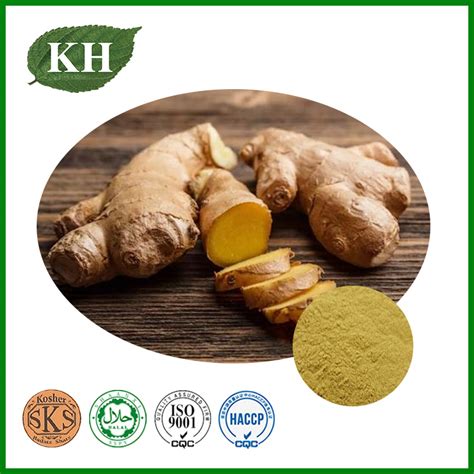 Ginger Extract Gingerols 5 To 20 Test By Hplc China Ginger Extract