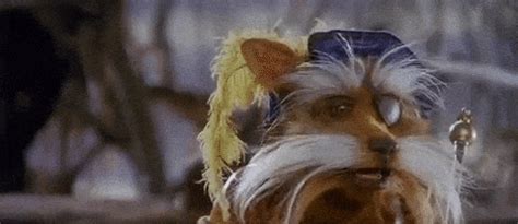 Maybe you would like to learn more about one of these? Labyrinth Sir Didymus GIFs - Find & Share on GIPHY