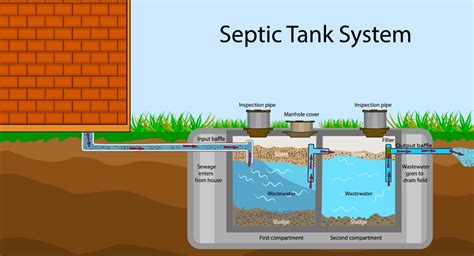 Best Septic Tank Treatments For Homeowners