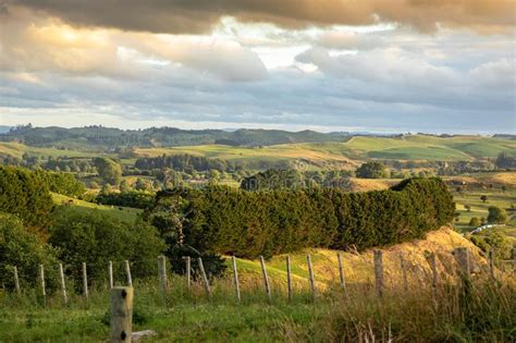 Typical Rural Landscape In New Zealand Stock Image Image Of Travel