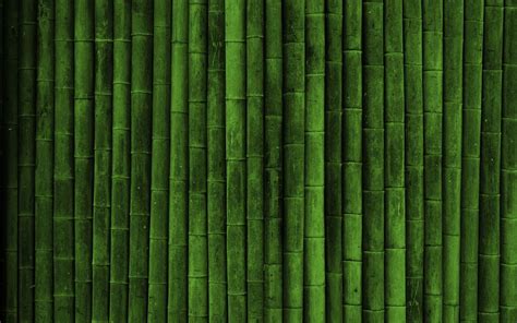 Green Bamboo Wallpapers Top Free Green Bamboo Backgrounds WallpaperAccess