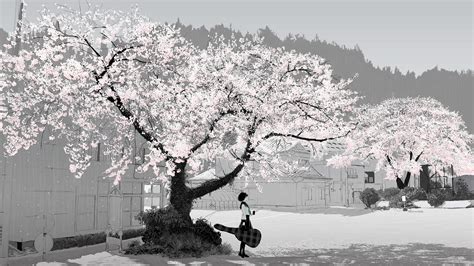 Cherry Blossom Desktop Wallpaper 80 Images