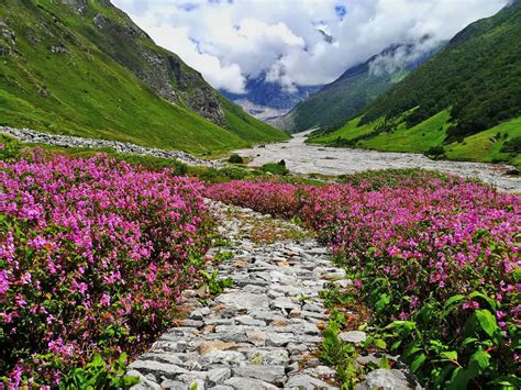 Valley Of Flowers Trek 2023 Valley Of Flowers Trekking Guide Route Tips
