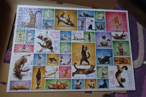 Yoga Cats Puzzle Koty Eurographics Smartcut 1000 Katowice Licytacja