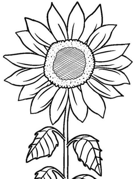 Sketsa Gambar Bunga Untuk Kolase