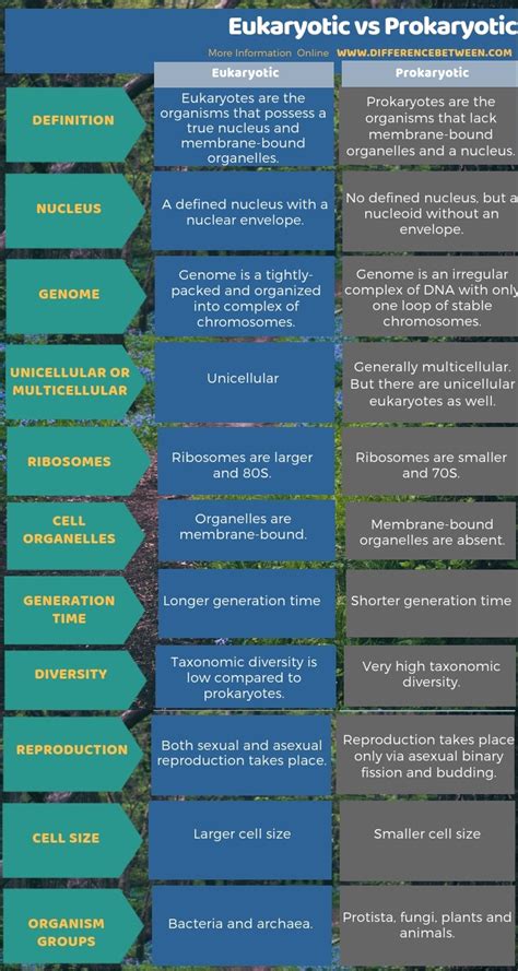 However, there are different kinds of cells and cells are divided into one of two groups: Difference Between Eukaryotic and Prokaryotic | Compare ...